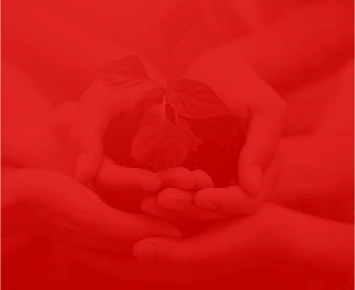 網(wǎng)絡(luò)公司盛世傳媒 網(wǎng)絡(luò)公司盛世傳媒